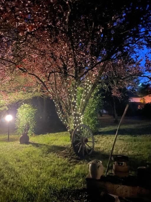 La Casa Del Papa - Maison Spacieuse Avec Jardin Dole Dış mekan fotoğraf