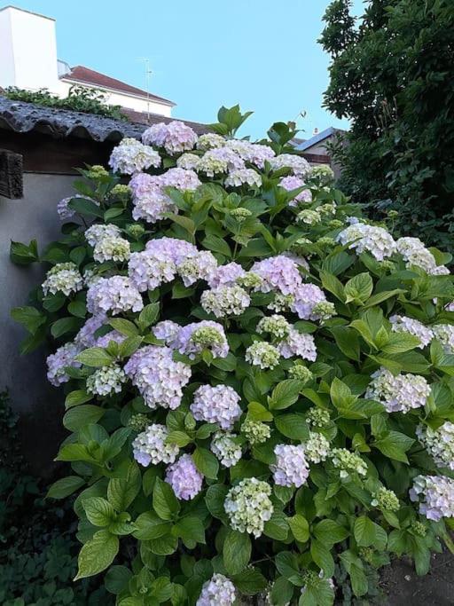 La Casa Del Papa - Maison Spacieuse Avec Jardin Dole Dış mekan fotoğraf